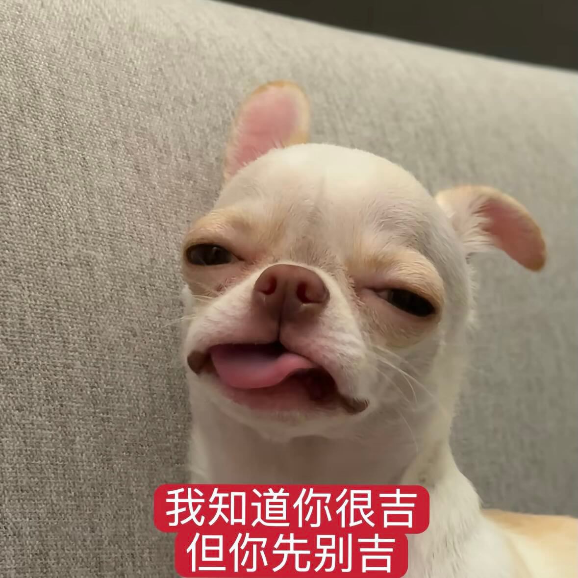 [新聞] 股海淘金後轉買房? 第一線代銷感受"很明 - 股票 - PTT.BEST 批踢踢爆文
