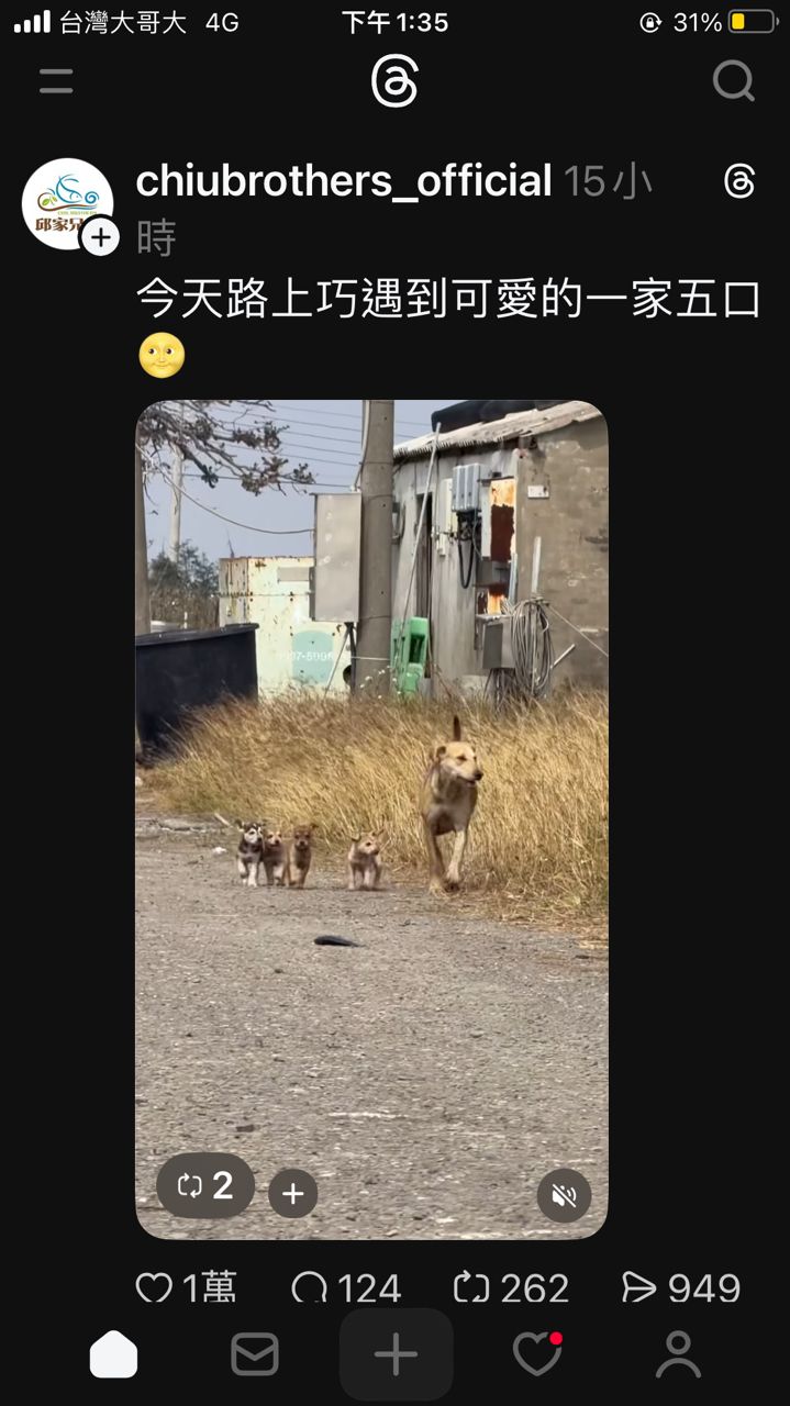 [閒聊] 沒想到有一天開threads的次數會超過PTT - 女孩 - PTT.BEST 批踢踢爆文 3