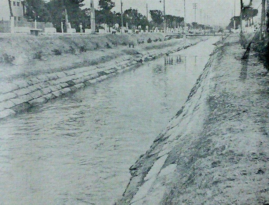 [新聞] 台北午後大雷雨！公館商圈淪「漂漂河」　 - 八卦 - PTT.BEST 批踢踢爆文