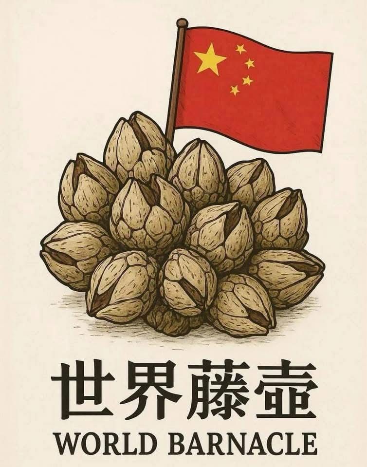 [新聞] 霍諾德穿紅衣爬101原因曝光！賈永婕曝他 - 八卦 - PTT.BEST 批踢踢爆文 3