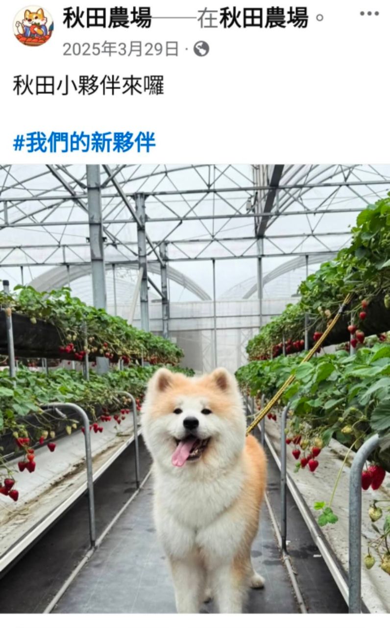 [問卦] 操！一早看到這種的就龜藍趴火= = - 八卦 - PTT.BEST 批踢踢爆文 3