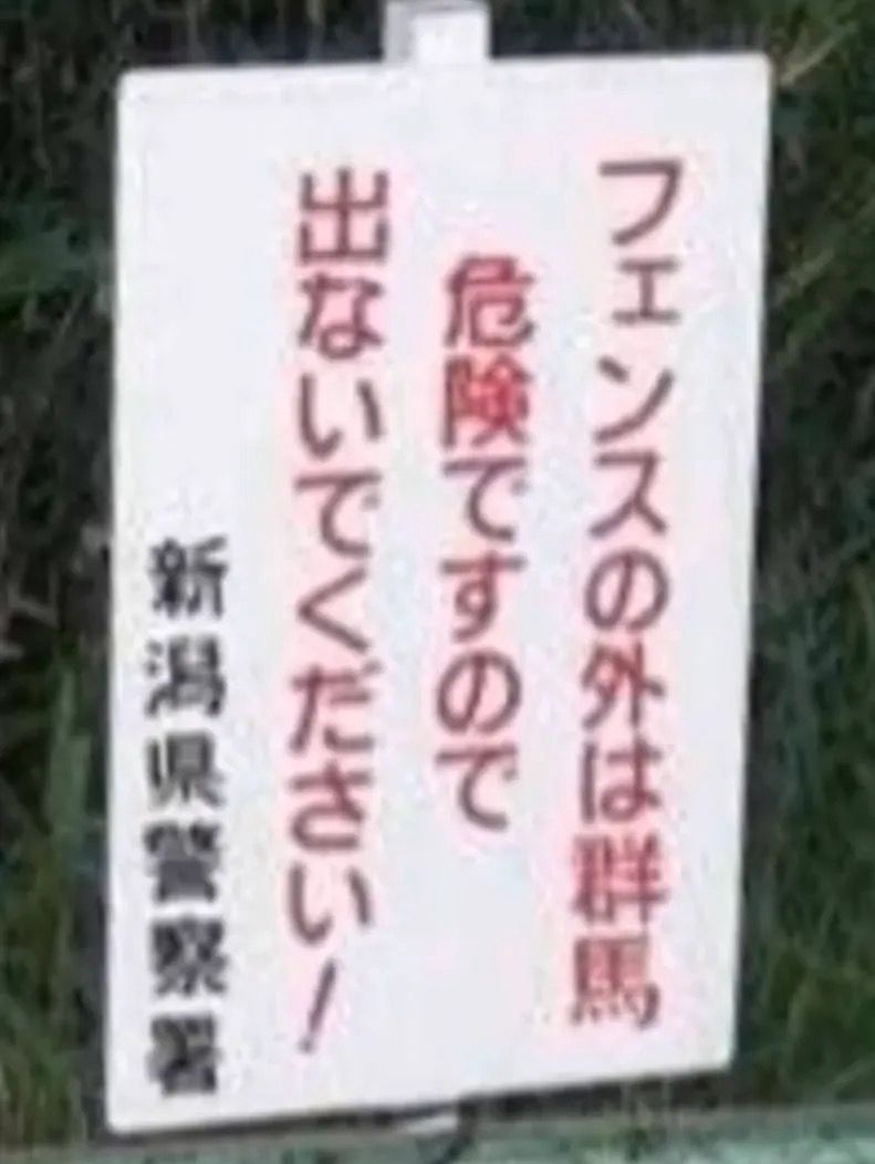 [閒聊] 群馬縣勇奪日本最宜移居都道府縣第一 - 希洽 - PTT.BEST 批踢踢爆文 3