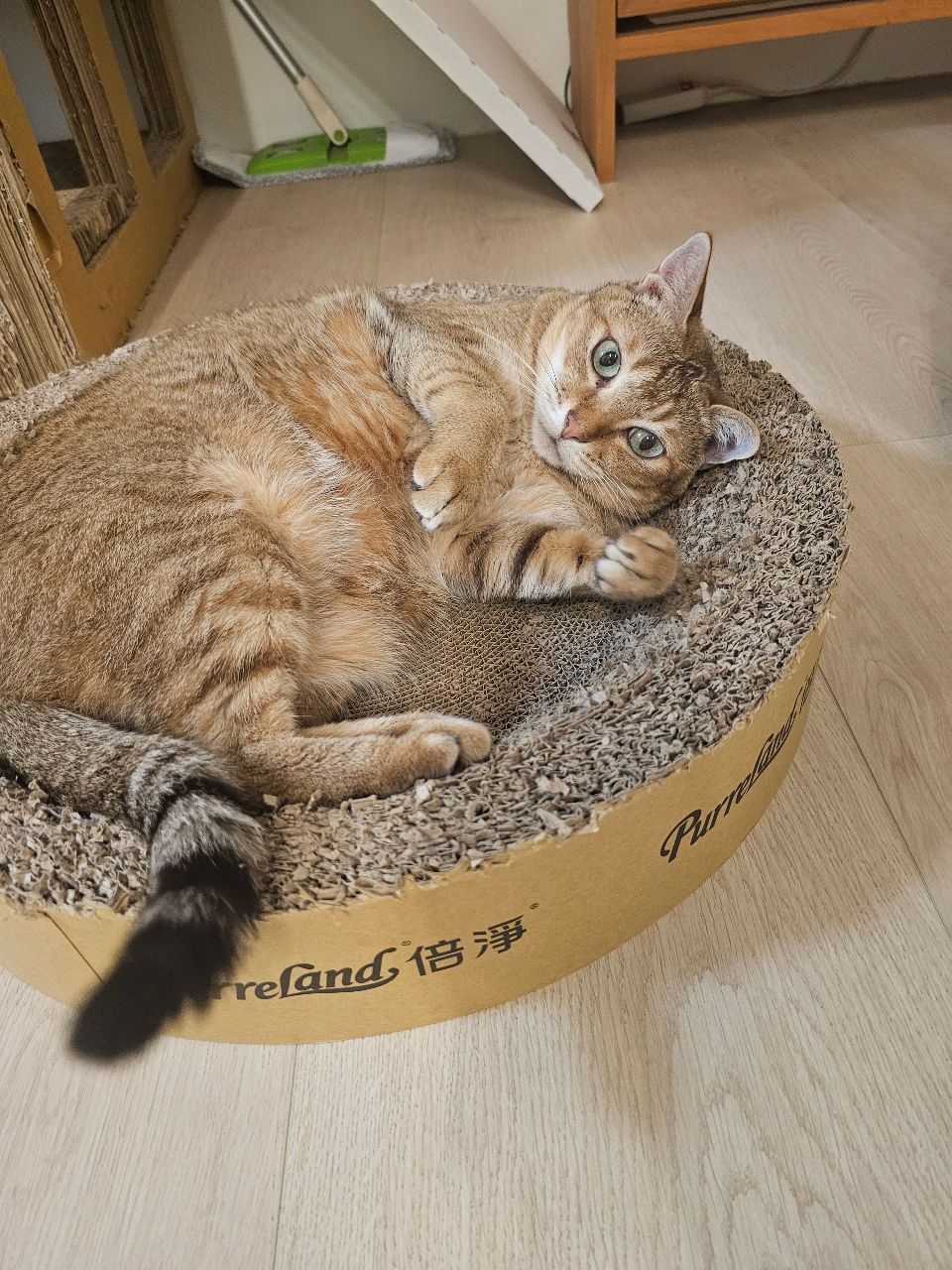 圖 嚇 原來中國 網路有開放的時期