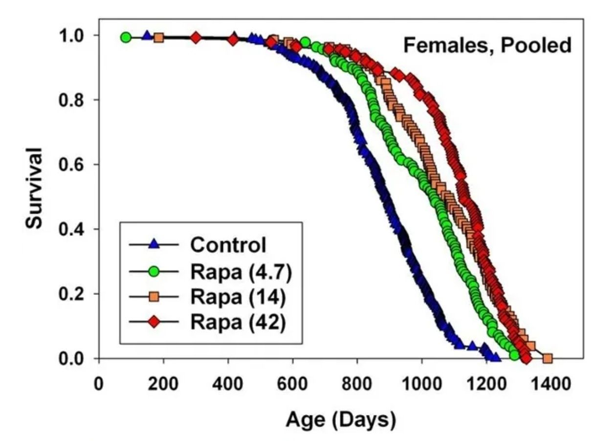 [問題] 健身圈真的有在用猛健樂嗎 - 健身 - PTT.BEST 批踢踢爆文 2
