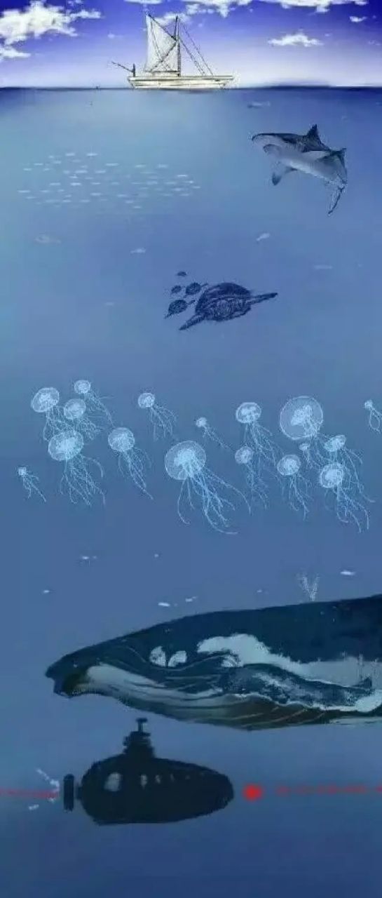 [閒聊] 人類對海洋研究的比宇宙還少~ - 希洽 - PTT.BEST 批踢踢爆文