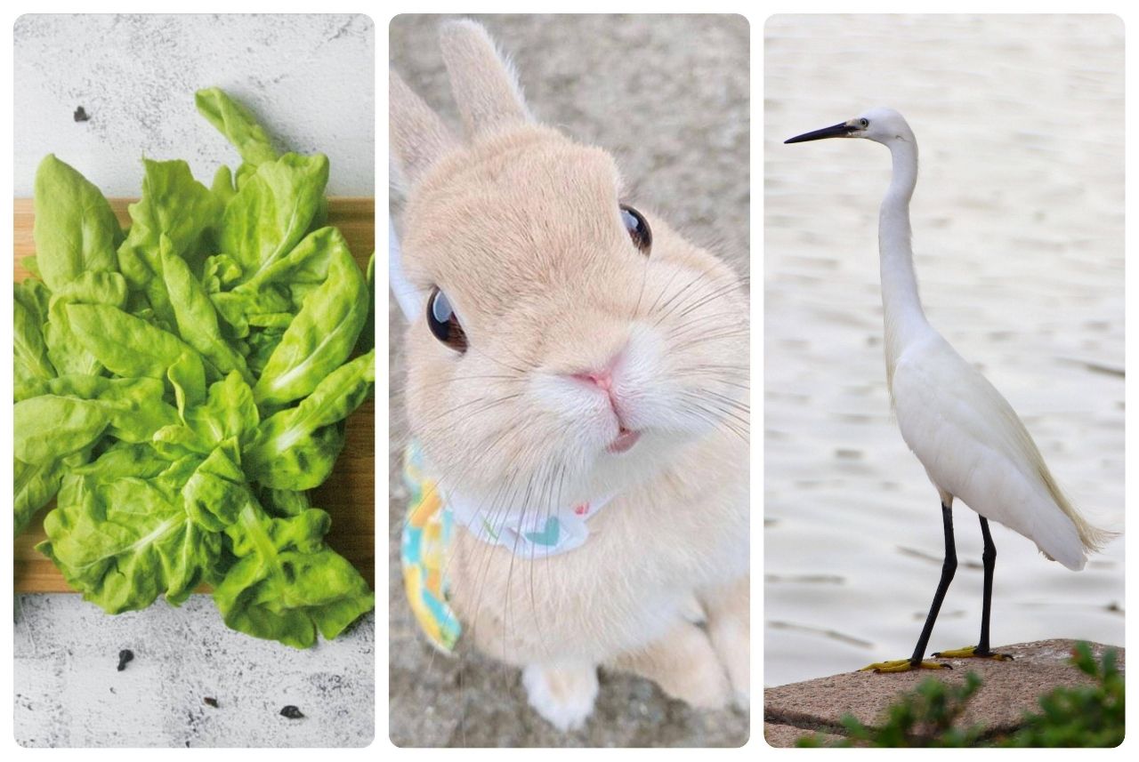 [新聞] 不演了！豐田「黑科技」震撼全球：5分鐘 - 汽車 - PTT.BEST 批踢踢爆文