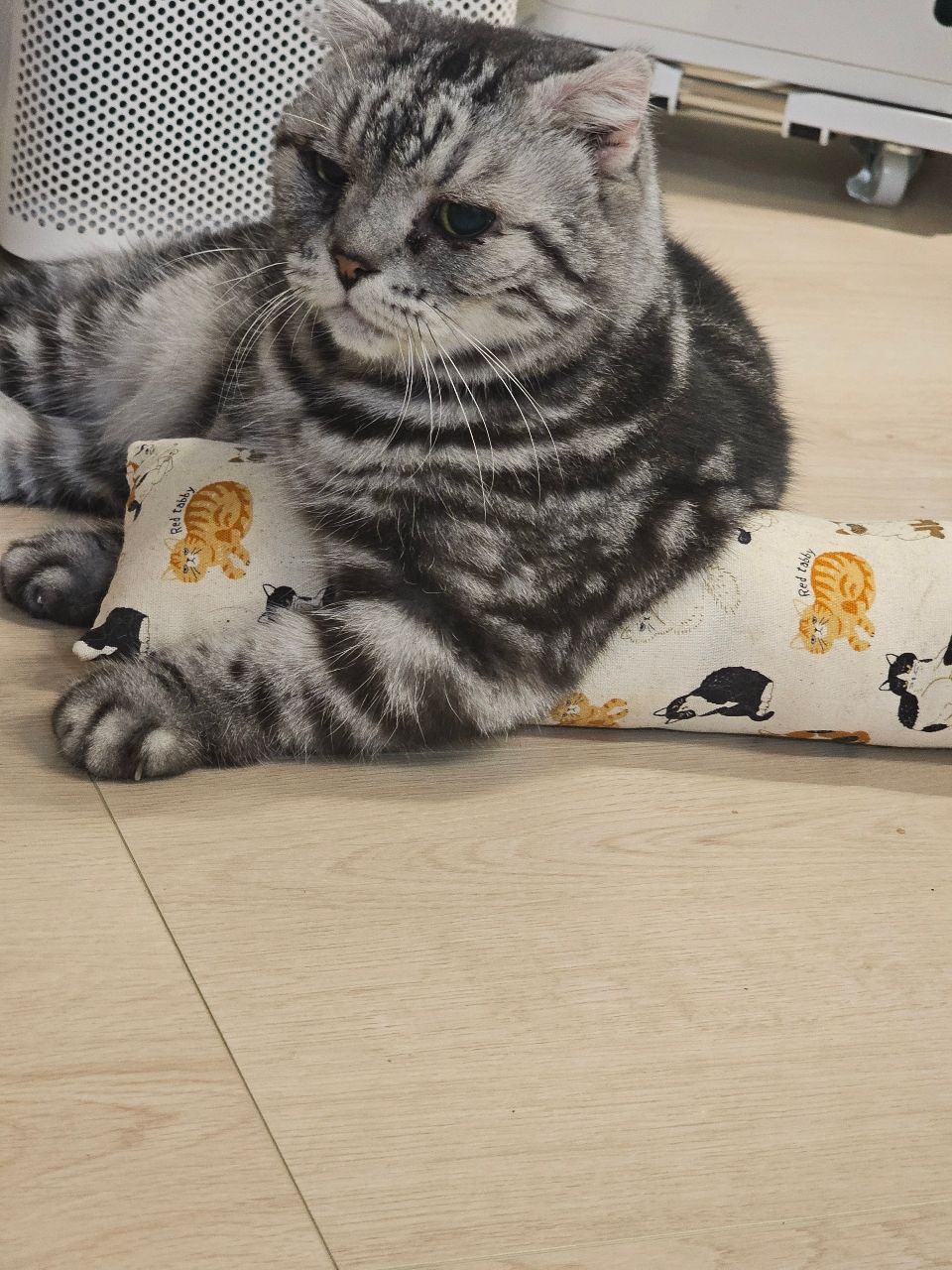 [問卦] 現在一天餐費300以下根本辦不到==