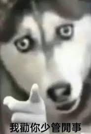 [新聞] 血流成河！Meta傳5月大砍8千人　AI熱潮背 - 股票 - PTT.BEST 批踢踢爆文