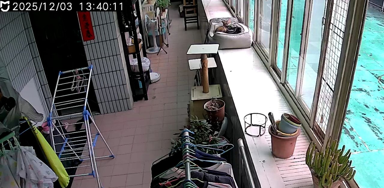 [問卦] 這貓貓是不是有病