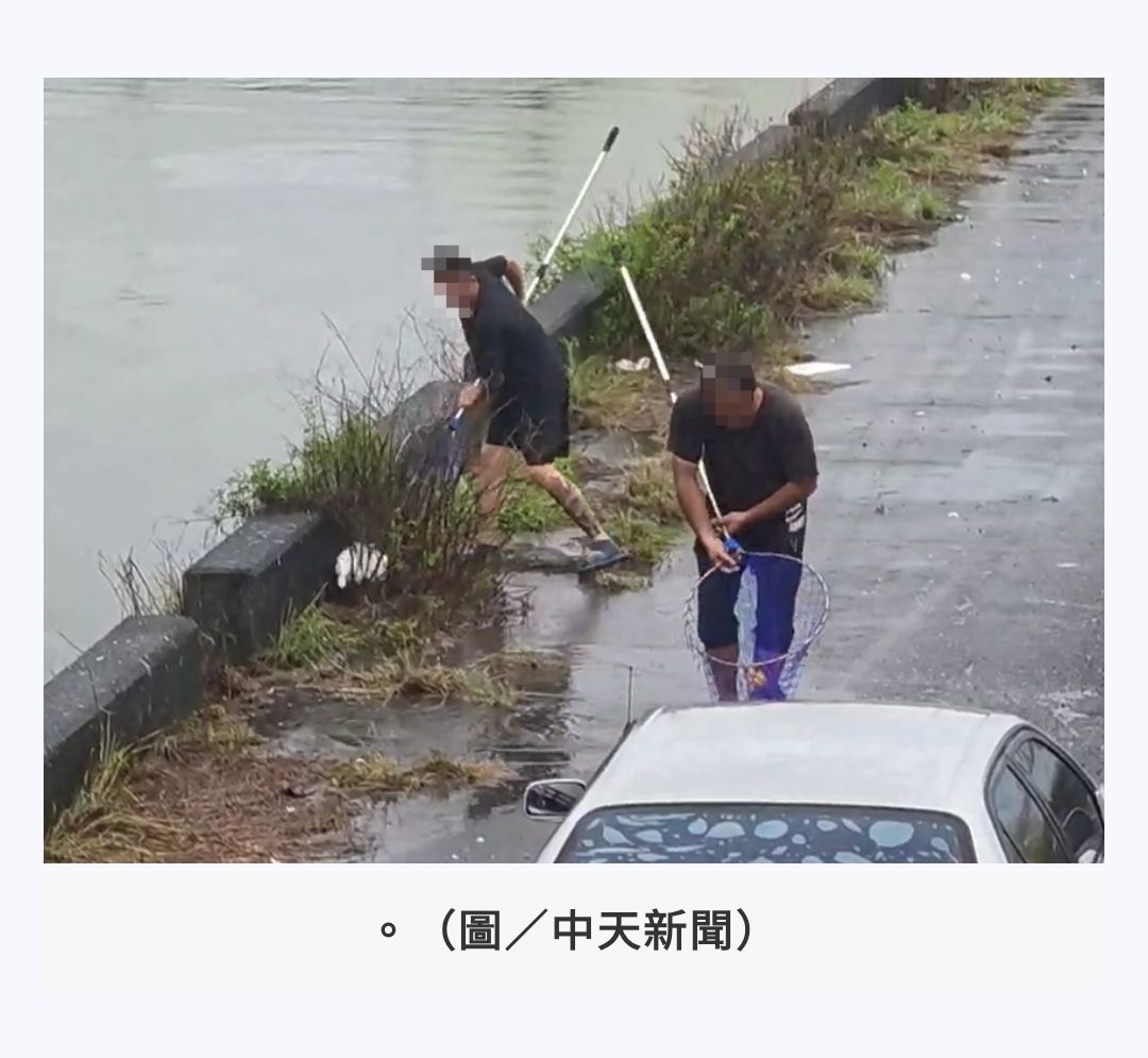 [新聞] 影/鴨子之亂！豪雨沖破屏東鴨寮「民眾抓 - 八卦 - PTT.BEST 批踢踢爆文
