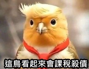 [問卦] 這什麼鳥，為什麼踹我頭 - 八卦 - PTT.BEST 批踢踢爆文 2