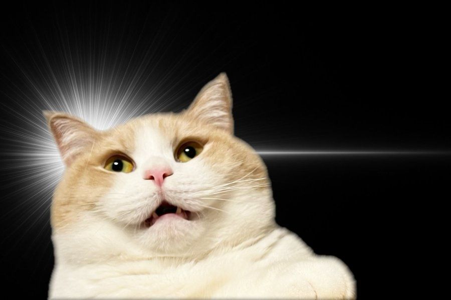 [新聞] 川普：美國不能讓一個國家敲詐全世界 - 股票 - PTT.BEST 批踢踢爆文 2