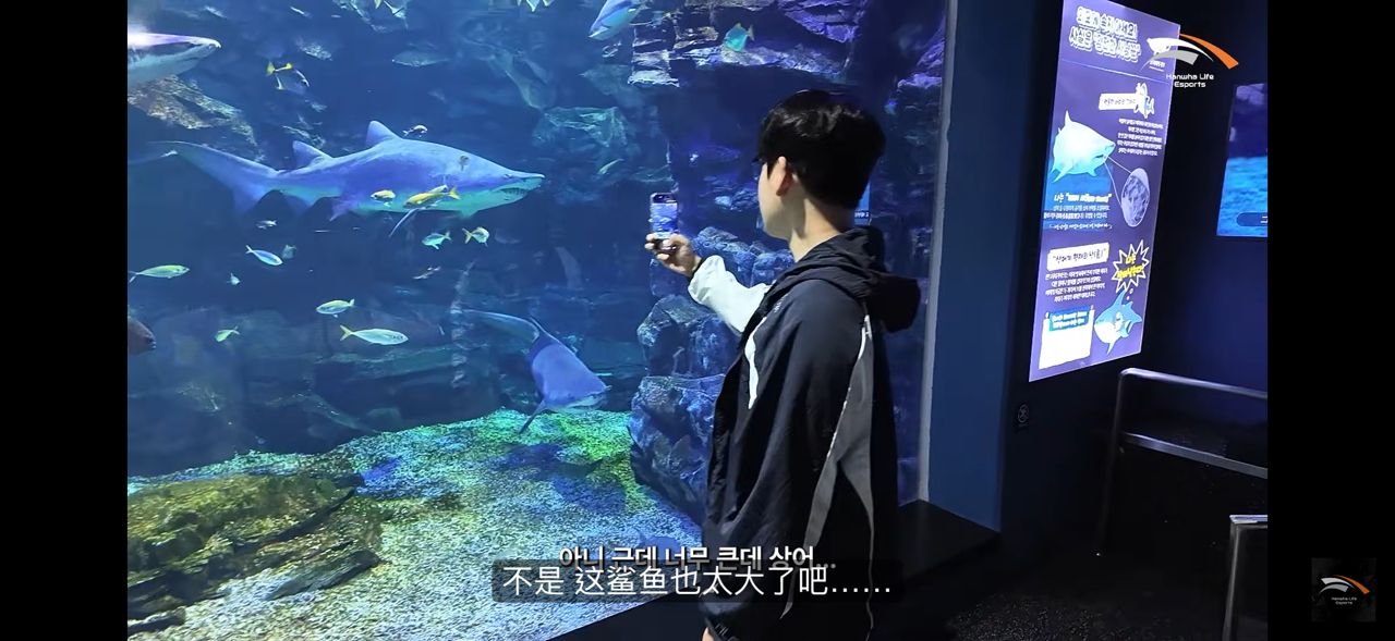 [閒聊] Guma：「信念是做一位問心無愧的人 - 英雄聯盟 - PTT.BEST 批踢踢爆文